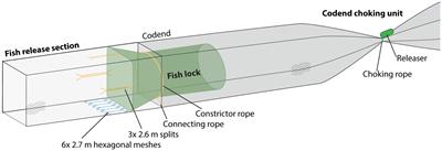A catch limitation device to avoid excessive catches in the blue whiting (Micromesistius poutassou) Northeast Atlantic pelagic trawl fishery